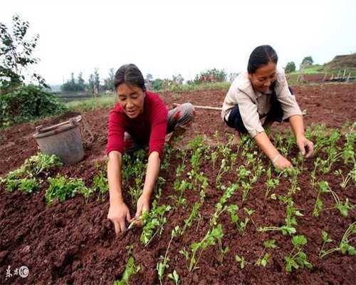 孤独命的八字，为什么有的人是孤独命