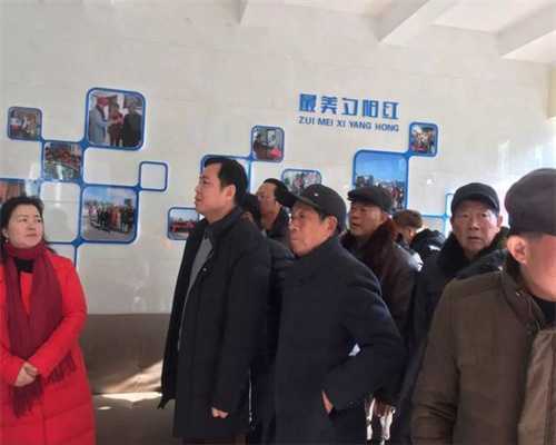 紫微斗数算命最准的网站，紫微斗数八字免费算命